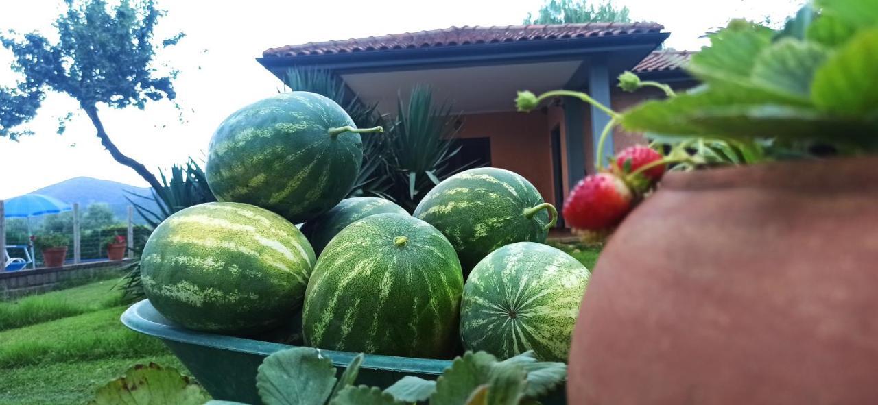 Farm stay La Talpa