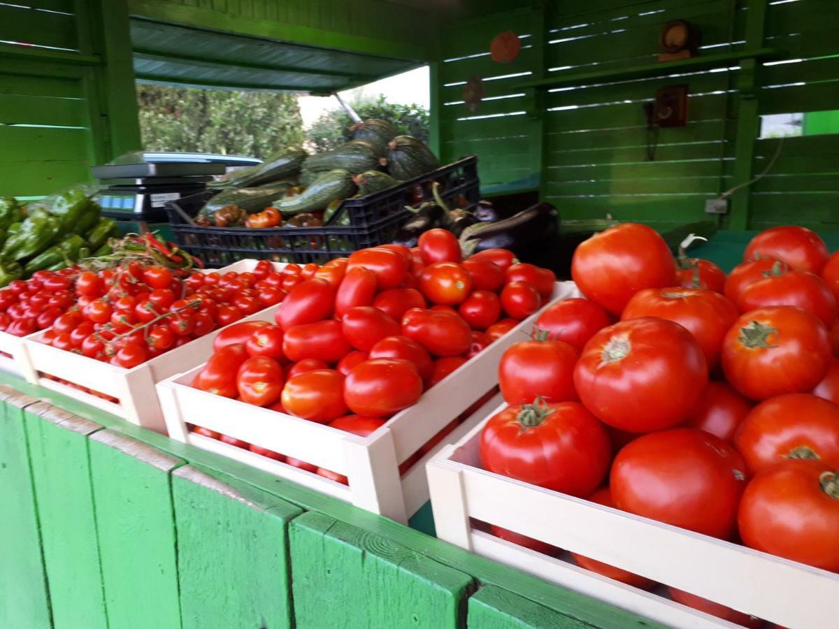 Séjour à la ferme La Talpa