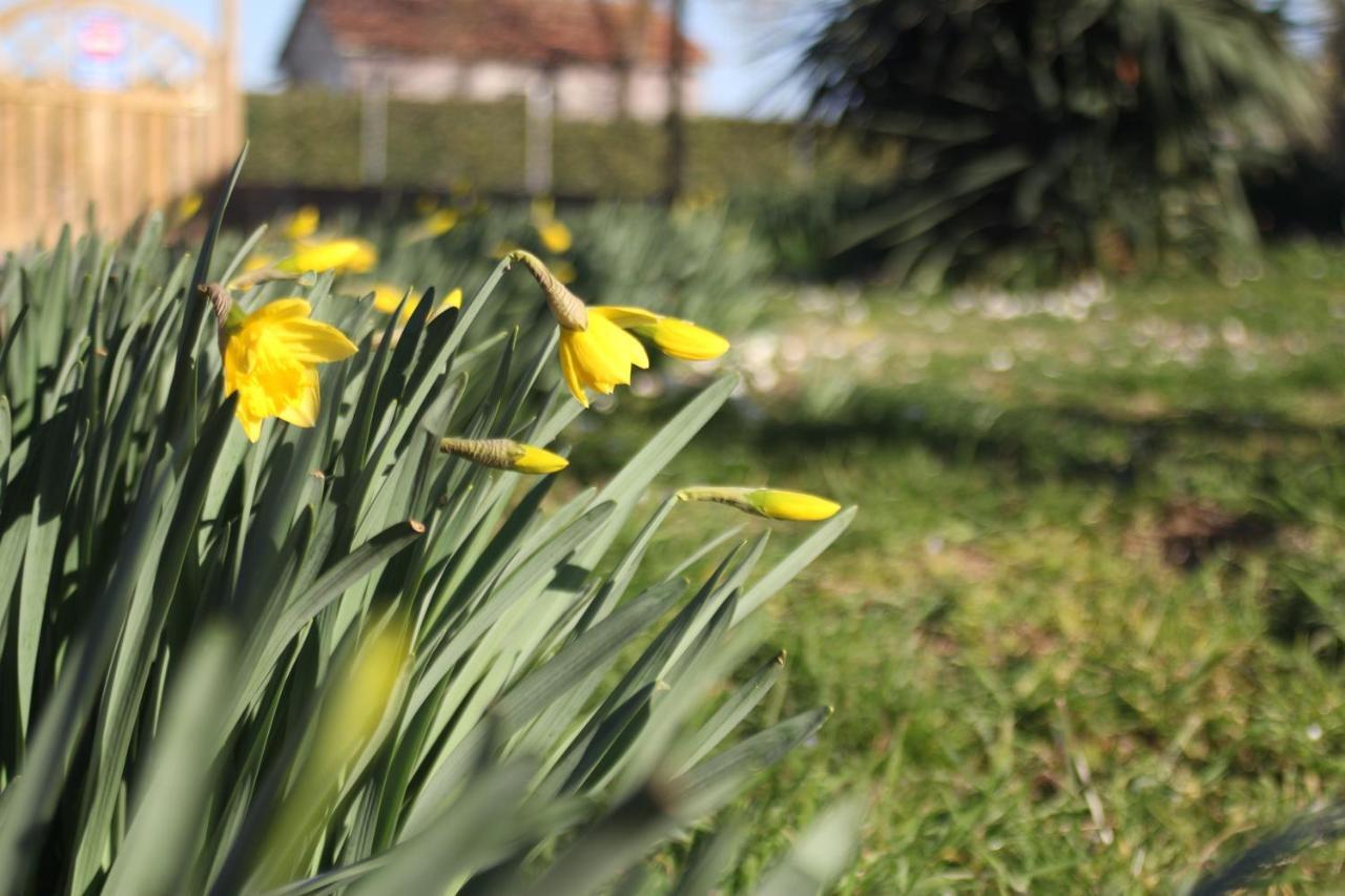 Farm stay La Talpa Marsiliana