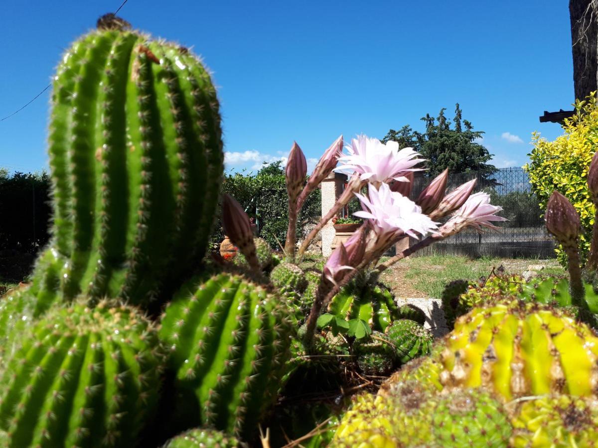 La Talpa Farm stay Marsiliana