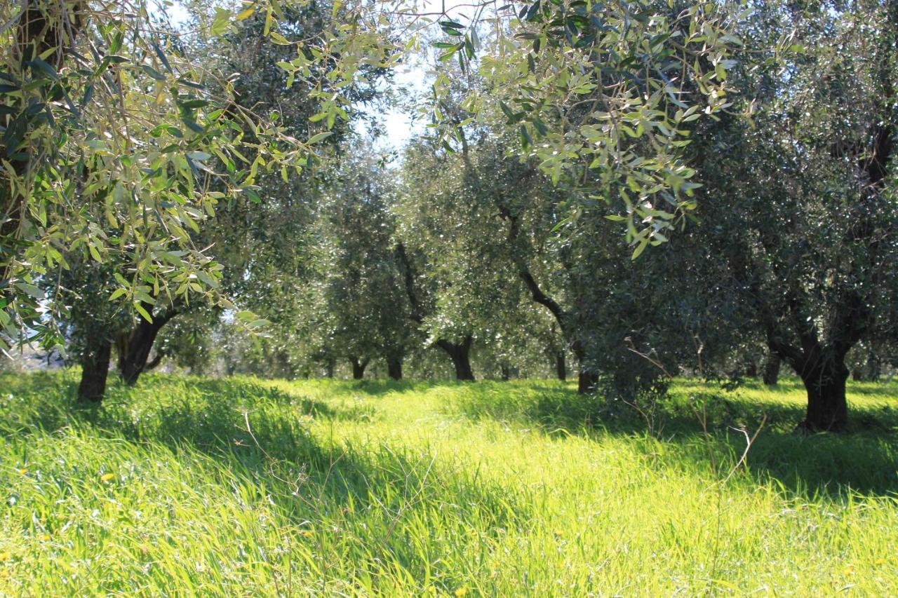 La Talpa Marsiliana d'Albegna