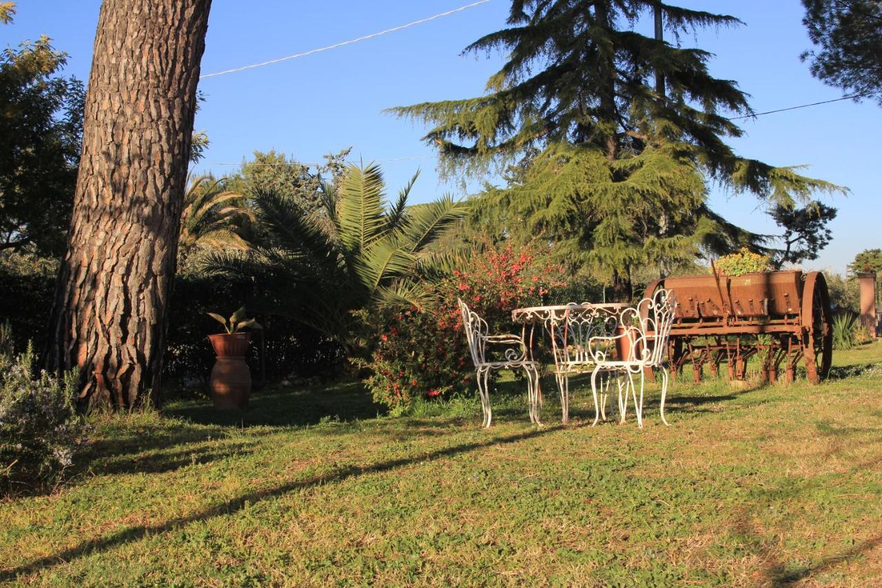La Talpa Marsiliana
